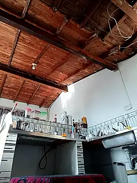 Bigassmommy x online show from January 7, 2026, 2:55 pm