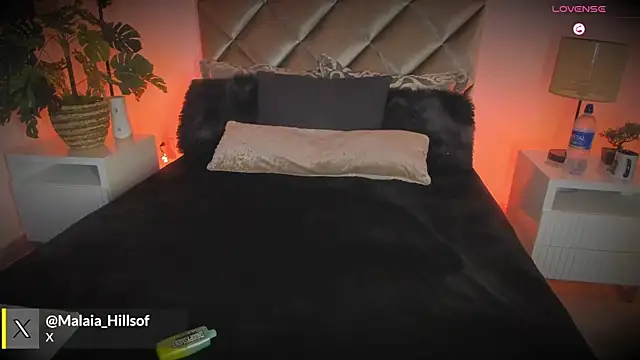 malaia hills online show from February 7, 2026, 7:22 pm