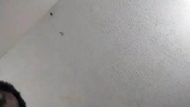 247Srokin online show from March 6, 2026, 11:00 pm