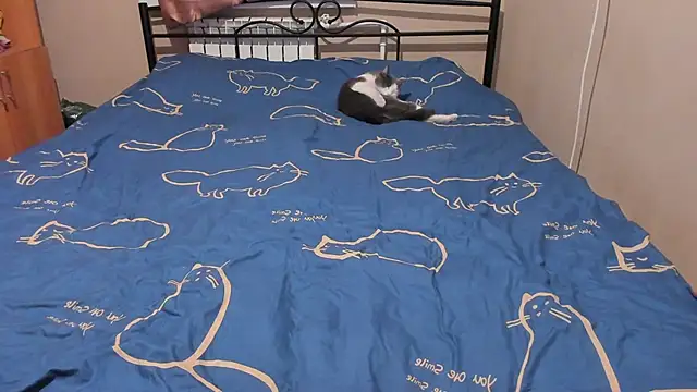 eva zero online show from December 17, 2025, 3:06 pm