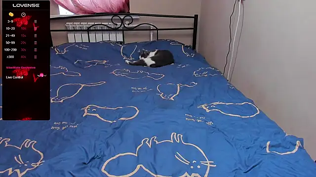 eva zero online show from November 3, 2025, 11:36 am