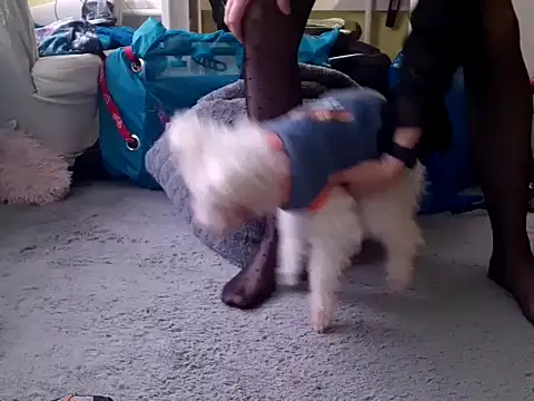 feathersify online show from February 10, 2026, 8:02 am