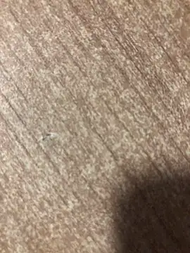 gokhanbey34 online show from October 2, 2025, 12:25 am