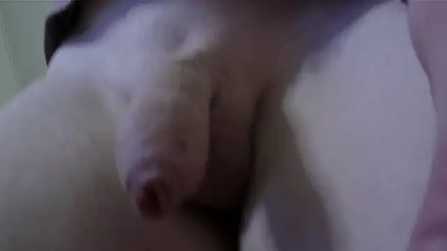 Snapshot of CDAdalyn chatting on July 22, 2026, 4:47 am CDAdalyn online show from July 22, 2026, 4:47 am