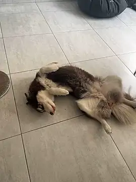 cutesarah  online show from January 26, 2025, 4:30 pm