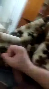 asezgin824 online show from December 22, 2024, 4:17 pm