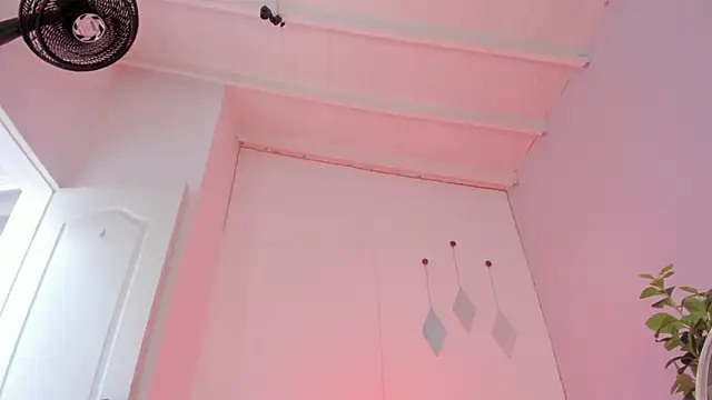 swt-booty online show from October 29, 2025, 6:29 pm