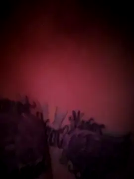 Snapshot of julimonroe chatting on February 18, 2026, 10:22 am julimonroe online show from February 18, 2026, 10:22 am