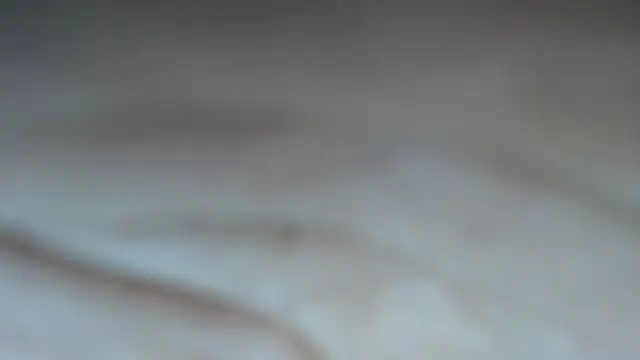 swt shadow online show from February 23, 2026, 6:52 pm