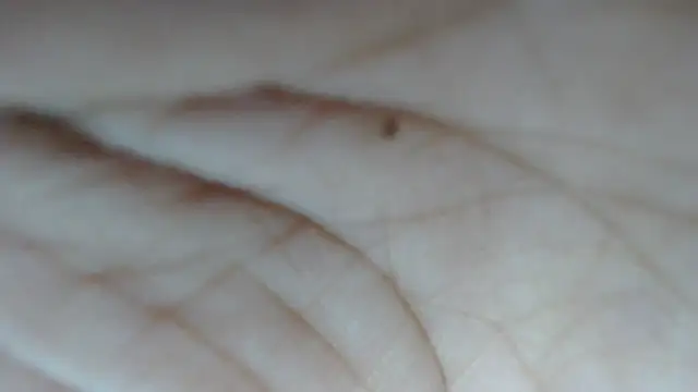 swt shadow online show from February 15, 2026, 8:08 pm