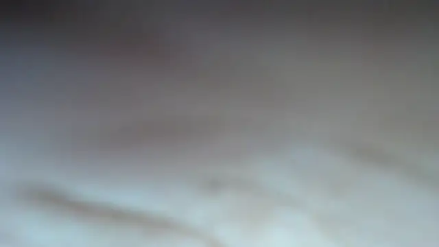 swt shadow online show from February 21, 2026, 8:00 pm