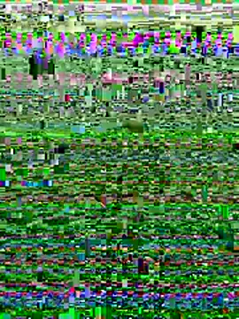 Snapshot of Wolfeman74 chatting on July 11, 2026, 6:52 pm Wolfeman74 online show from July 11, 2026, 6:52 pm