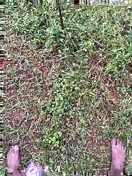 Gopal1243 online show from October 27, 2025, 1:39 am