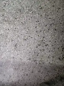 Rajibsorkar20 online show from January 16, 2025, 9:19 pm