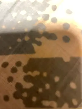 fep84 online show from March 22, 2026, 4:49 am