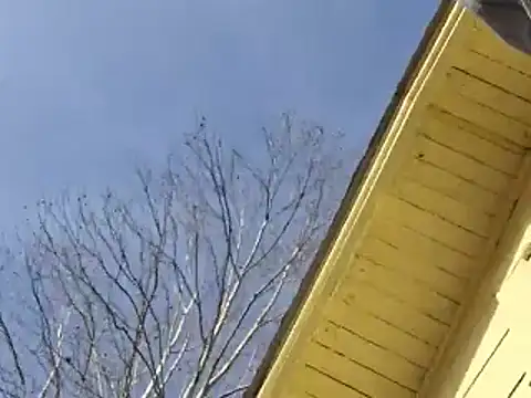 Snapshot of highstepper500 chatting on December 25, 2024, 8:07 pm highstepper500 online show from December 25, 2024, 8:07 pm