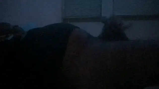 Freaky dickey online show from December 22, 2025, 3:01 pm