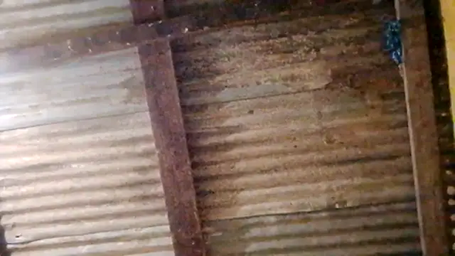 LULE37587001 online show from February 20, 2026, 11:06 pm