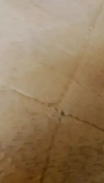 LULE37587001 online show from February 20, 2026, 6:26 am