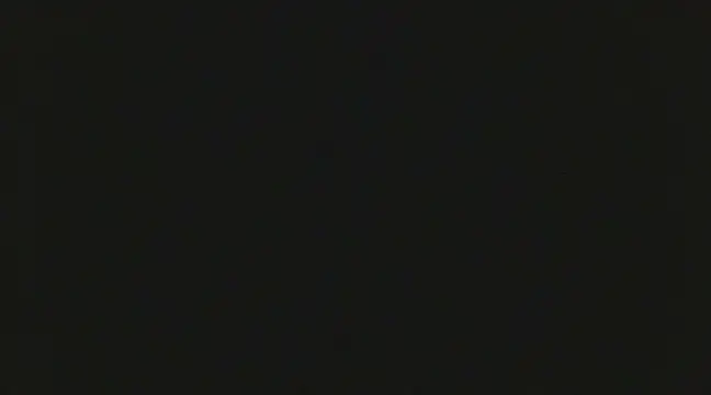 JustEds online show from December 5, 2024, 2:26 am