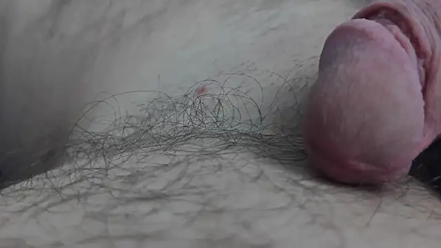 Fist-my-ass online show from November 24, 2025, 8:03 am