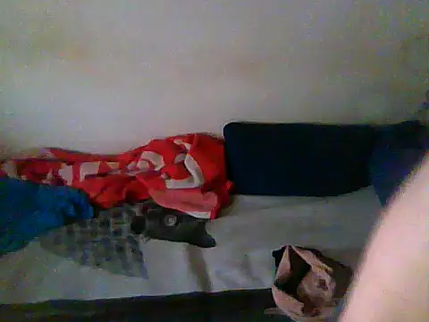 Snapshot of schmidtler35 chatting on January 19, 2026, 3:38 pm schmidtler35 online show from January 19, 2026, 3:38 pm