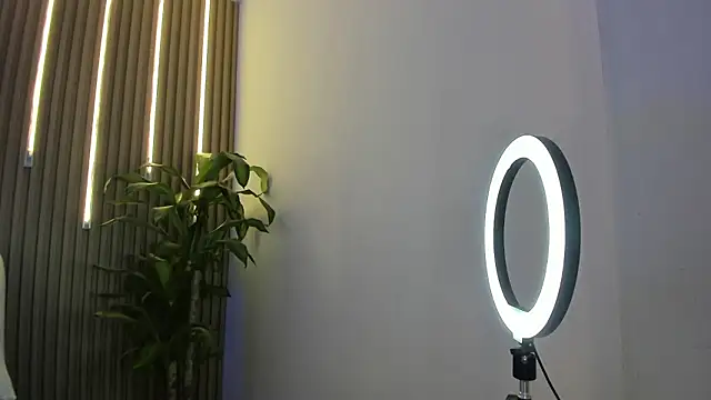 perla7777 online show from February 3, 2026, 2:00 am