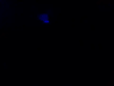 82liska online show from June 14, 2026, 2:24 am
