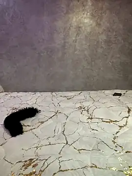 Charmoota arab online show from February 11, 2025, 4:02 pm