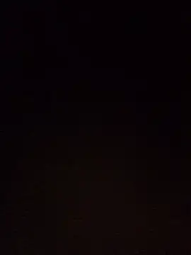 Snapshot of foxiks chatting on January 4, 2025, 1:53 pm foxiks online show from January 4, 2025, 1:53 pm