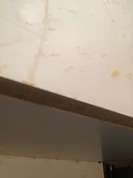 Snapshot of foxiks chatting on April 9, 2026, 11:38 am foxiks online show from April 9, 2026, 11:38 am