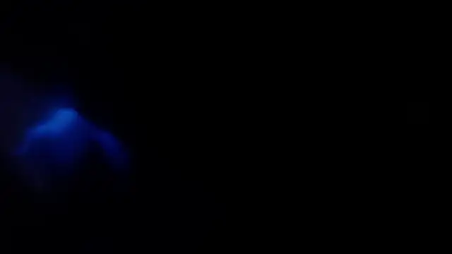 Jorybox online show from February 9, 2026, 2:31 am