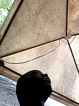 HARLEXBIGCOCK online show from December 10, 2024, 6:38 pm