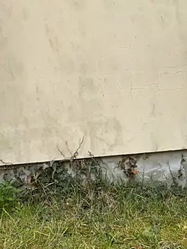 TalullaX online show from March 19, 2025, 2:46 pm