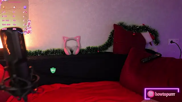 How2Meow online show from January 12, 2025, 5:44 pm