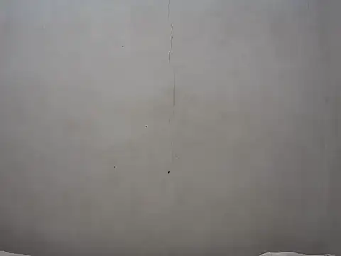 Aalexandrea online show from December 21, 2025, 4:19 pm