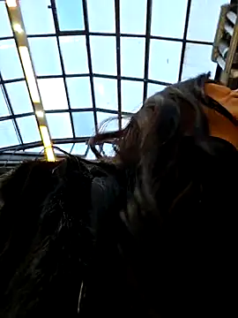 LeticiaWoods online show from November 27, 2025, 10:48 am