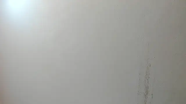 sarita loven online show from July 17, 2026, 5:04 am