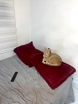 Liamiler01  online show from October 10, 2025, 12:33 am