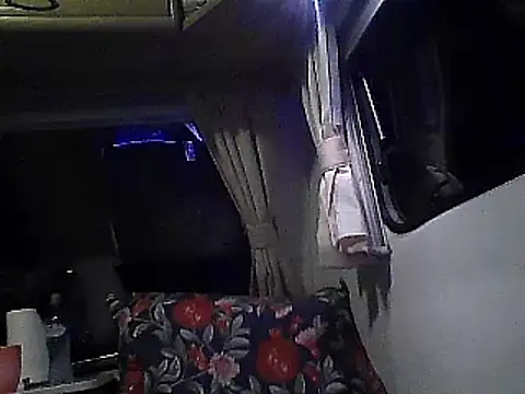 WildScorpio86 online show from December 21, 2025, 2:41 pm