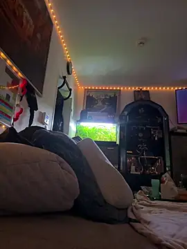 Toyjungee online show from February 3, 2026, 8:08 am