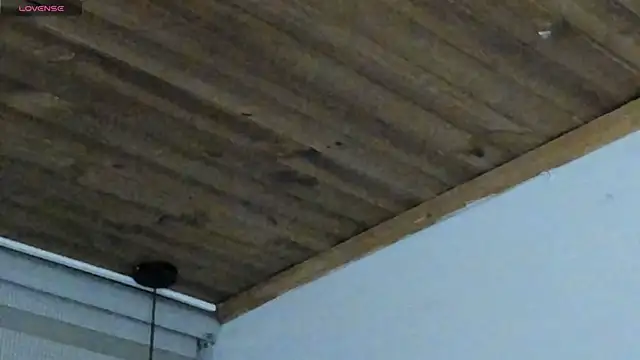 natasha logan  online show from September 29, 2025, 4:08 am