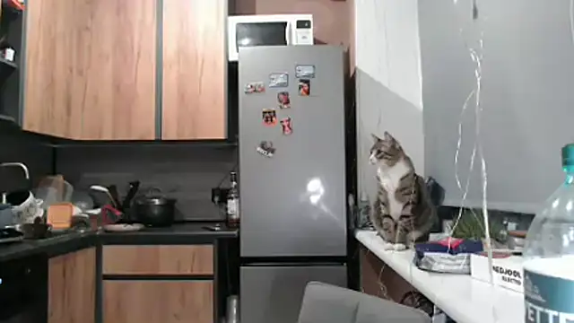 Snapshot of delightful_sofi chatting on March 21, 2026, 6:45 pm delightful sofi online show from March 21, 2026, 6:45 pm