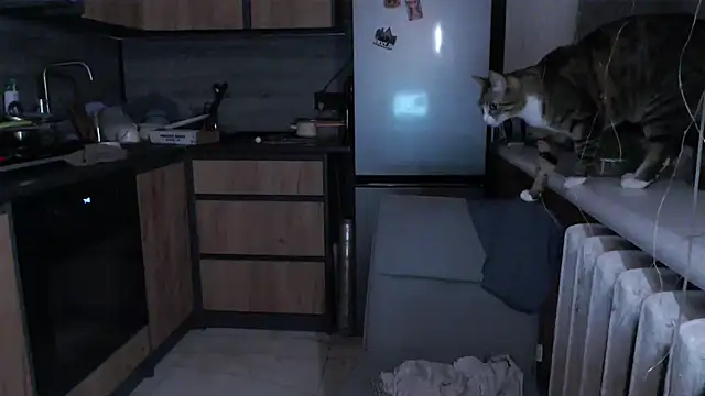 Snapshot of delightful_sofi chatting on March 17, 2026, 8:56 pm delightful sofi online show from March 17, 2026, 8:56 pm