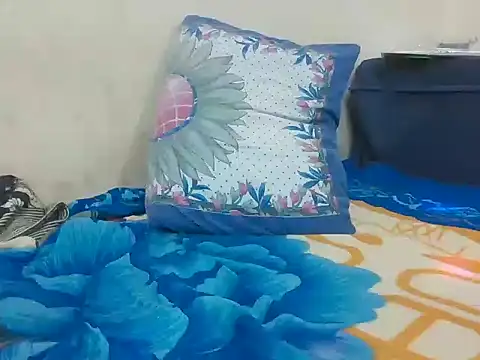 pritamkr69 online show from December 1, 2025, 5:58 pm