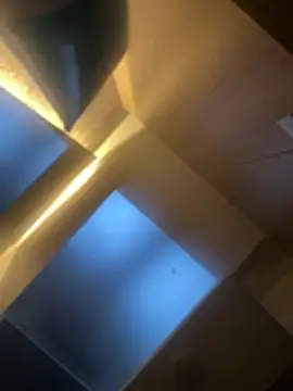 CeliWoods online show from February 6, 2026, 11:17 am