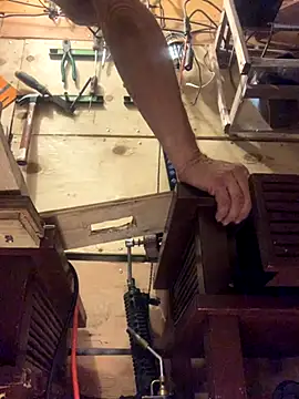 Likewise online show from October 31, 2025, 12:13 pm