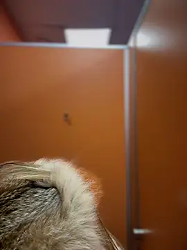 pinkstar  online show from February 24, 2025, 9:10 am