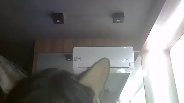 Snapshot of Skinny-Kitten chatting on August 7, 2026, 4:35 pm Skinny-Kitten online show from August 7, 2026, 4:35 pm