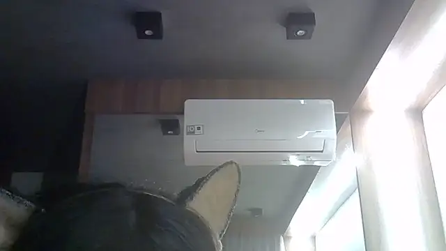 Snapshot of Skinny-Kitten chatting on June 12, 2026, 11:35 pm Skinny-Kitten online show from June 12, 2026, 11:35 pm